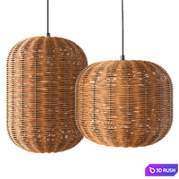 Rattan and Metal Ceiling Lamp
