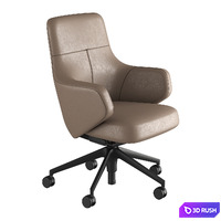 Grand Executive Lowback