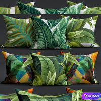 Decorative Pillows