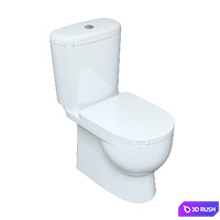 Toilet ART