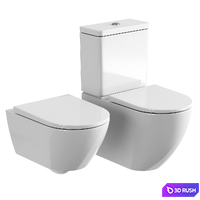 Toilet Duravit D-Neo