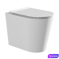Wall-mounted toilet AQUAme AQM3001