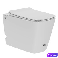 Ceruttispa Disgrazia side-mounted toilet with pulse flush