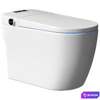 Self Clean Smart Toilet