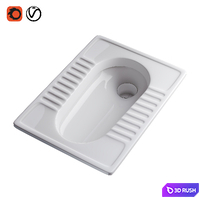 Asian Toilet