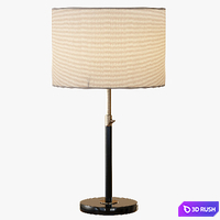 Telescoping Table Lamp