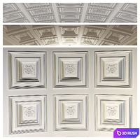 Arched ceiling coffered