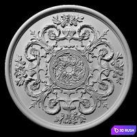 Rosette Ceiling
