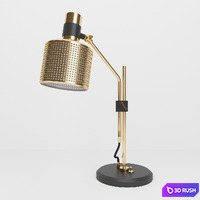Bert Frank Riddle Single Table Light