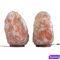 Salt lamp