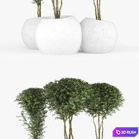 thumb image