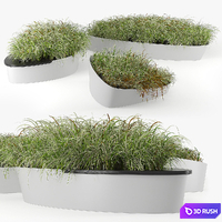 Planterworx Dune