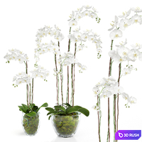 Plants set 27