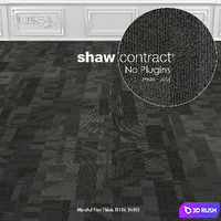 Shaw Carpet Mindful Play Think No: 1
