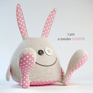 Tender Rabbit Toy