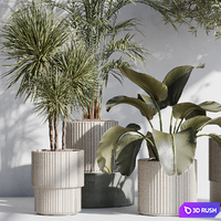Indoor plant set 71 3D Model Vray, Corona