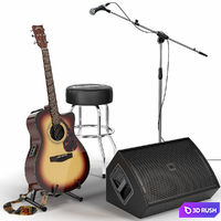 Guitar. Guitar set for stage. Musical instrument. Microphone