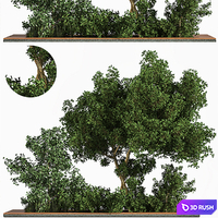 Garden_set_Grass _ & _ Tree