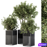 Outdoor Plant Set 276 - Plant Set in Metal Pot