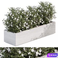 Outdoor Plant Set 304 - Plant Box