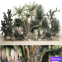 Collection of desert plants from cacti, Yucca and prickly pear, carnegie, Dracaena thickets, botanical garden. 1108.