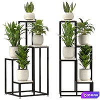Collection Indoor Plants Set Nim08