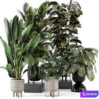 Indoor Plants in Ferm Living Bau Pot Large - Set 740