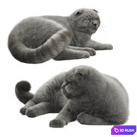 thumb image