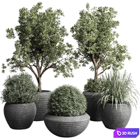 Collection indoor outdoor plant 120 plant tree grass vase dirty concrete