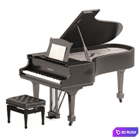 Grand Piano with Stool and Notes