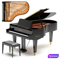Bosendorfer 200