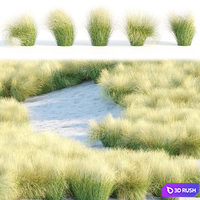 Maram Grass collection vol 155