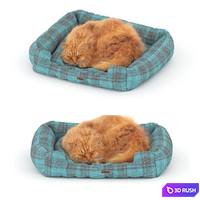 Ginger cat on the bed