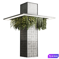 Column plant - pillar plant 05
