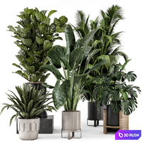 Indoor Plants in Ferm Living Bau Pot Large - Set 1188