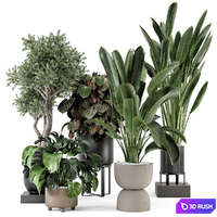 Indoor Plants in Ferm Living Bau Pot Large - Set 1204