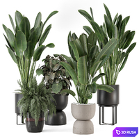 Indoor Plants in Ferm Living Bau Pot Large - Set 1256
