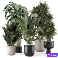 Indoor Plants in rusty Concrete Pot - Set 1331