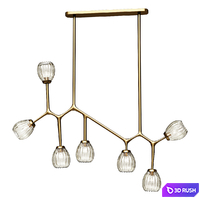 Chandelier Light Fixture