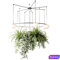 CIRC Suspension lamps Pendants chandelier with ampelous plants