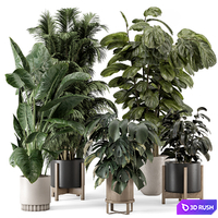 Indoor Plants in Ferm Living Bau Pot Large - Set 1361