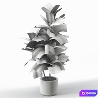 thumb image