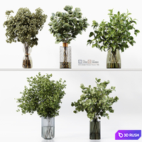 Collection Indoor Plants 041