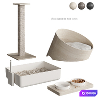 Accessories for cats NG1