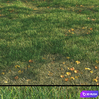 grass011