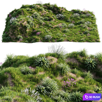Grass on the slope
