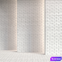 White brick 04