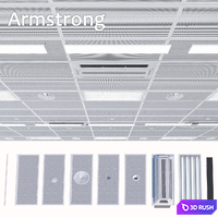 Armstrong ceiling system with a set of elements 2