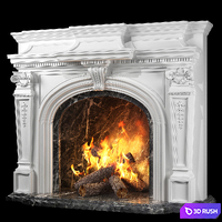 Versailles Fireplace