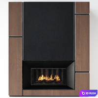 Fireplace modern 66